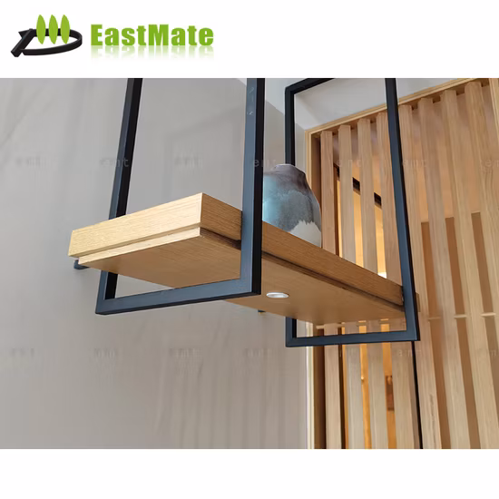 La chambre à coucher adaptée aux besoins du client d'hôtel de meubles en bois solide place la chambre d'hôtel