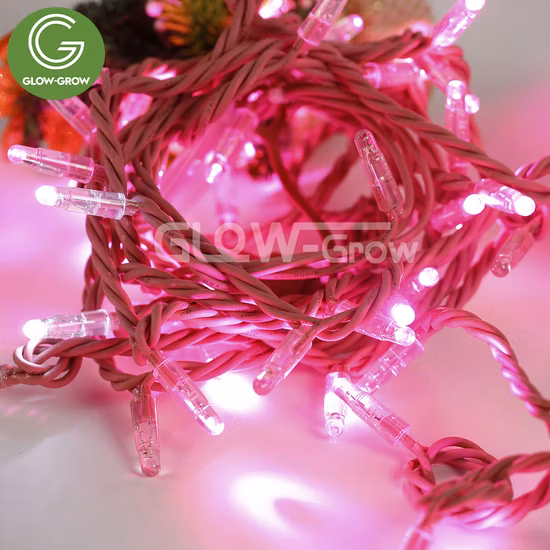 Usine extérieure personnalisée Noël LED rideau lumineux pour mariage commercial événement de Noël maison maison vacances Navidad ornement décoration